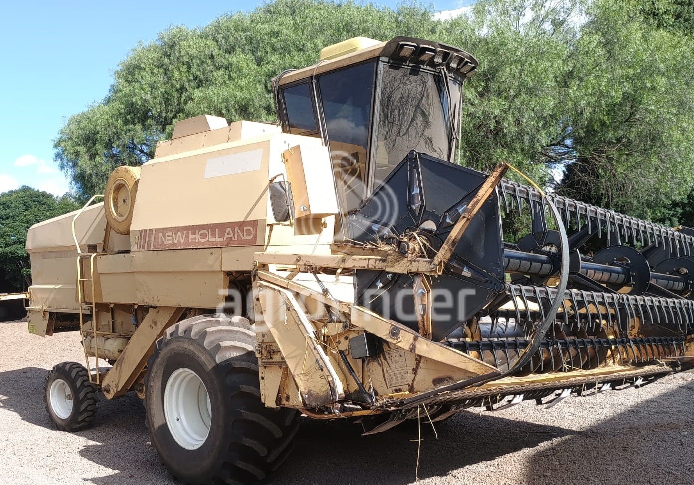 WhatsApp Image 2025-05-30 at